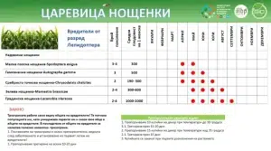 Таблиця з інформацією про шкідників кукурудзи, включаючи види та періоди активності.