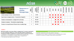 Графік, що показує активність шкідників на виноградниках у різні місяці року.