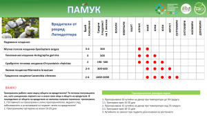 Таблиця, що показує активність шкідників на бавовнику в різні місяці.