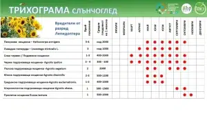 Таблиця з даних щодо шкідники ряду Lepidoptera, пов'язані із соняшника.