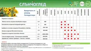 Графік активності шкідників соняшника за різними місяцями.