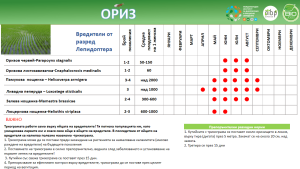 Таблиця з інформацією про активність шкідників рису, включаючи місяці та види.