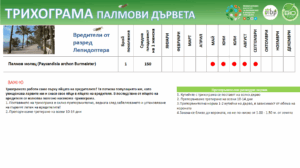 Палмови дерева с довгі стебла та зелені листя, розташовані на сонячний фон.