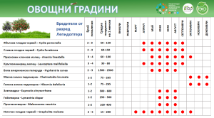 Таблиця шкідників саду з інформацією про їхню активність протягом місяця.