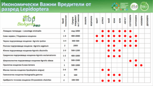 Таблиця з інформацією про економічно важливих лускокрилих шкідників з даними по місяцях та видах.
