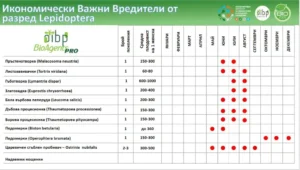 Таблиця економічно важливих лускокрилих шкідників із зазначенням різних видів та їхніх характеристик.