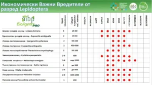 Таблиця економічно важливих лускокрилих шкідників, включаючи різні види та їх характеристики.