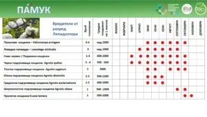 Таблиця з різними шкідниками бавовни та їхніми характеристиками.