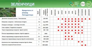 Таблиця із список на шкідники з ряду Лепидоптера, що включає різні види та місяці на активність.