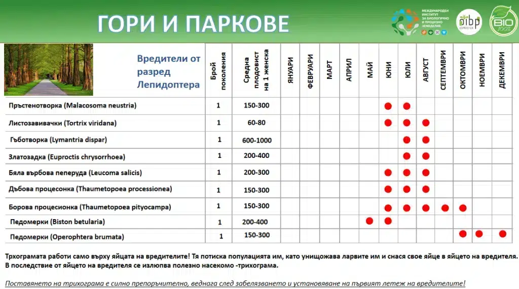 Таблиця з інформацією про лускокрилих шкідників лісів та парків.