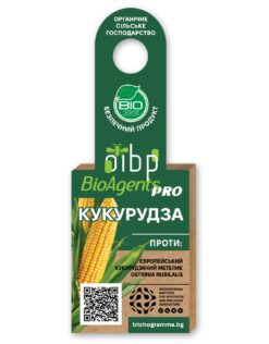 Трихограма для захисту кукурудзи від стеблового метелика