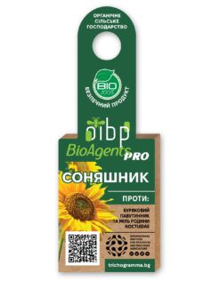 Трихограма для соняшника – лугові метелики та совки