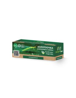 Золотоочка Chrysoperla carnea — 10 х 100 яєць